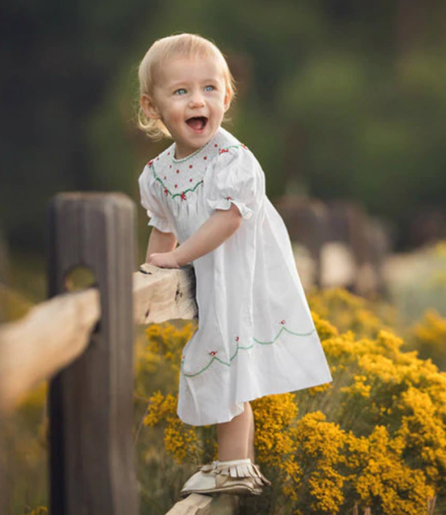 White, Red, & Green Smocked Christmas Dress White, Red, & Green Smocked Christmas Dress
